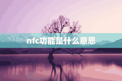 nfc功能是什么意思